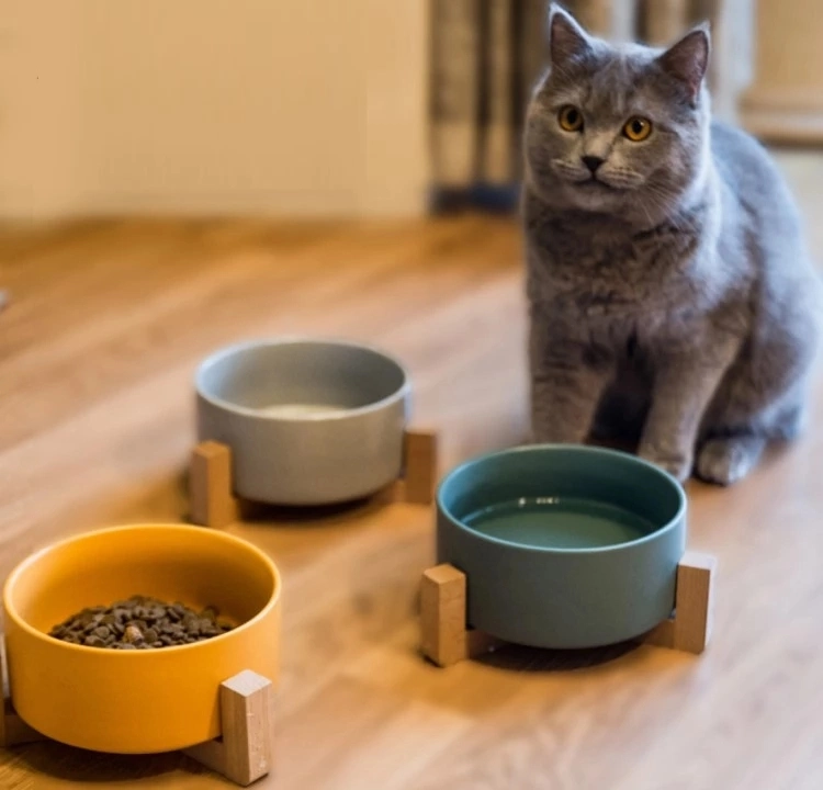 Ceramic Pet Cat Bowl, Wooden Shelf Cat Dog Food Bowl