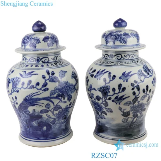 Rzsc07 Jingdezhen Antique belle fleur et motif d'oiseau pot de gingembre en céramique